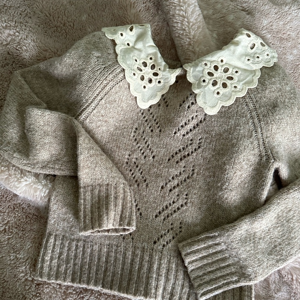 Astr the label 🤎 Taupe Embroidered Collar Sweater